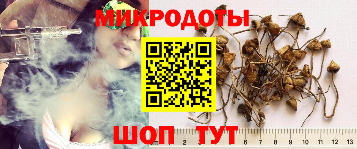 Галлюциногенные грибы Cubensis  Вход с VPN  Бугульма 